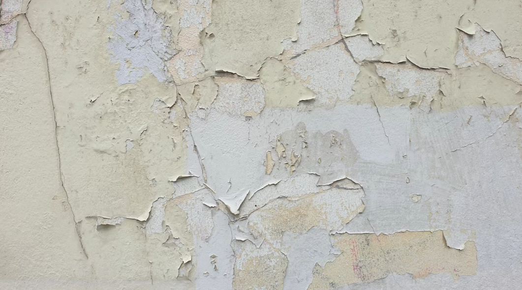 A Guide on How to Dry Damp Walls Champion Magazine Online Magazine